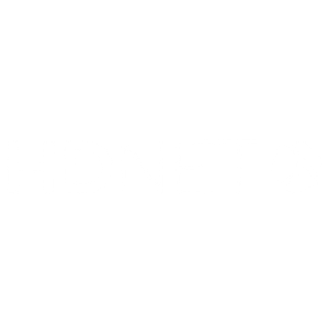 hdnet_logo_weiss